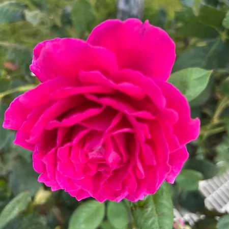 Prestige 1 Bedroom 4 People アパートホテル