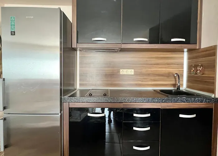 Prestige 1 Bedroom 4 People Lejlighedshotel Sveti Vlas